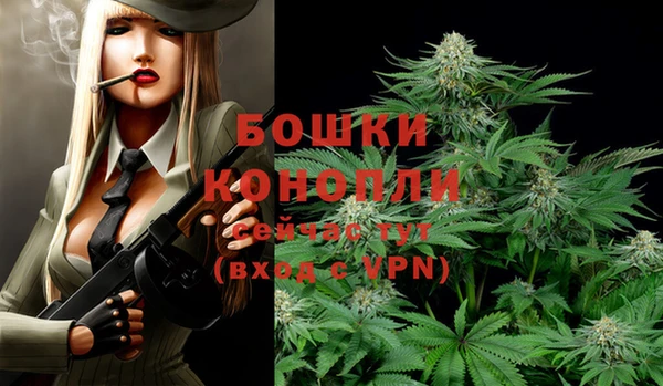 крисы Горнозаводск