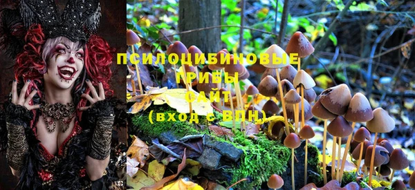 хмурый Горняк