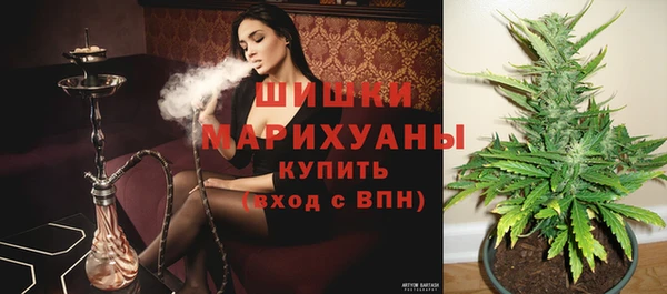 гидропоника Горно-Алтайск